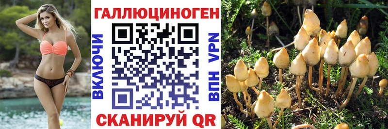 Псилоцибиновые грибы ЛСД Купить где Воркута
